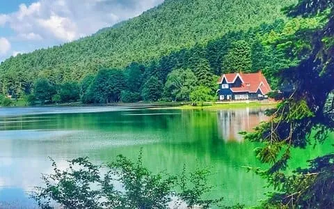 Bolu Sohbet