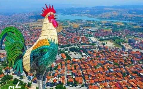Denizli Sohbet