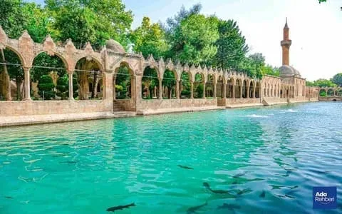 Şanlıurfa Sohbet